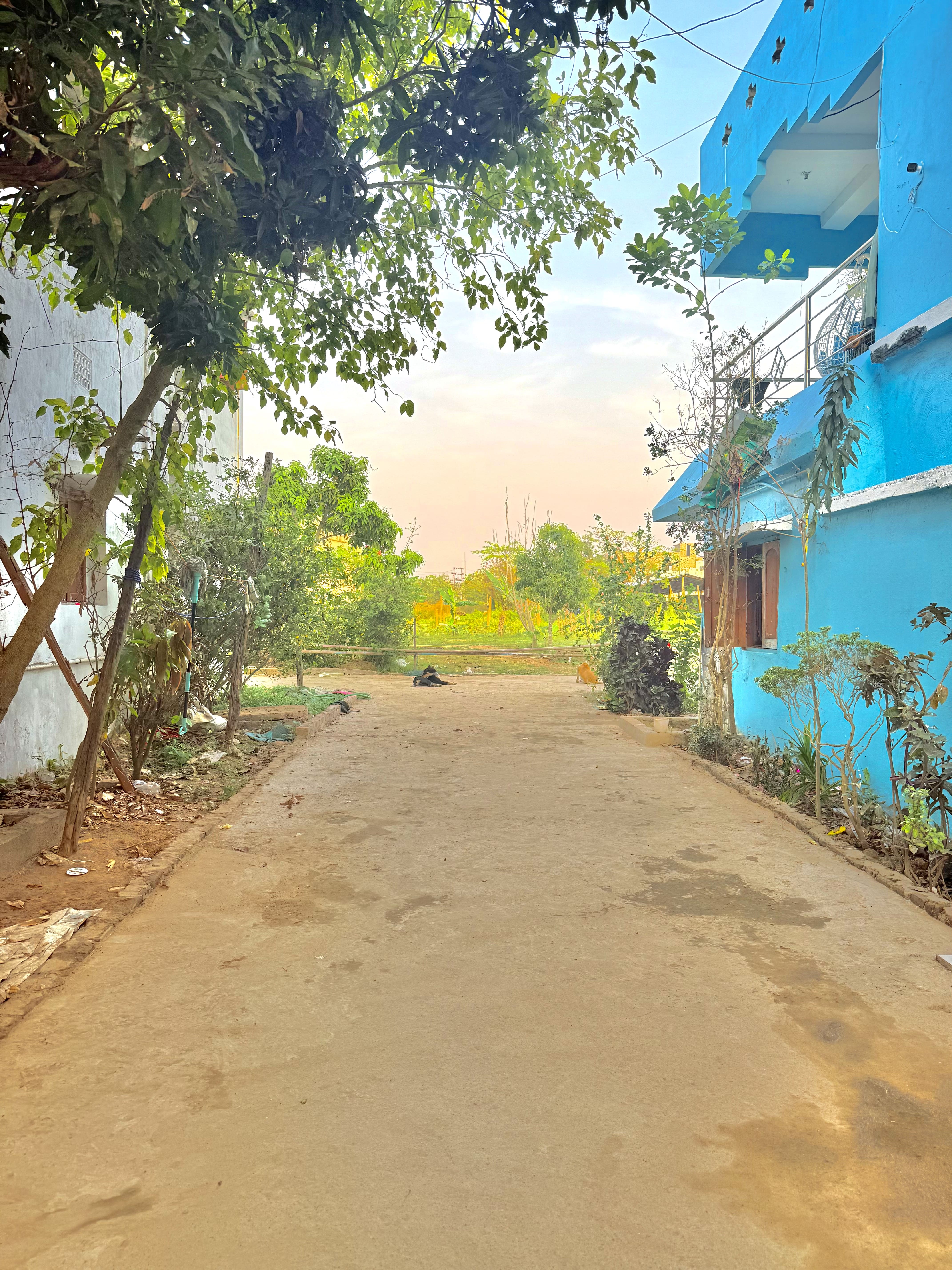 Free Parking